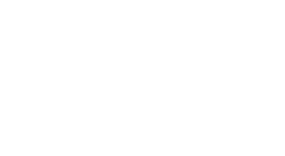 EASYLOC DZ